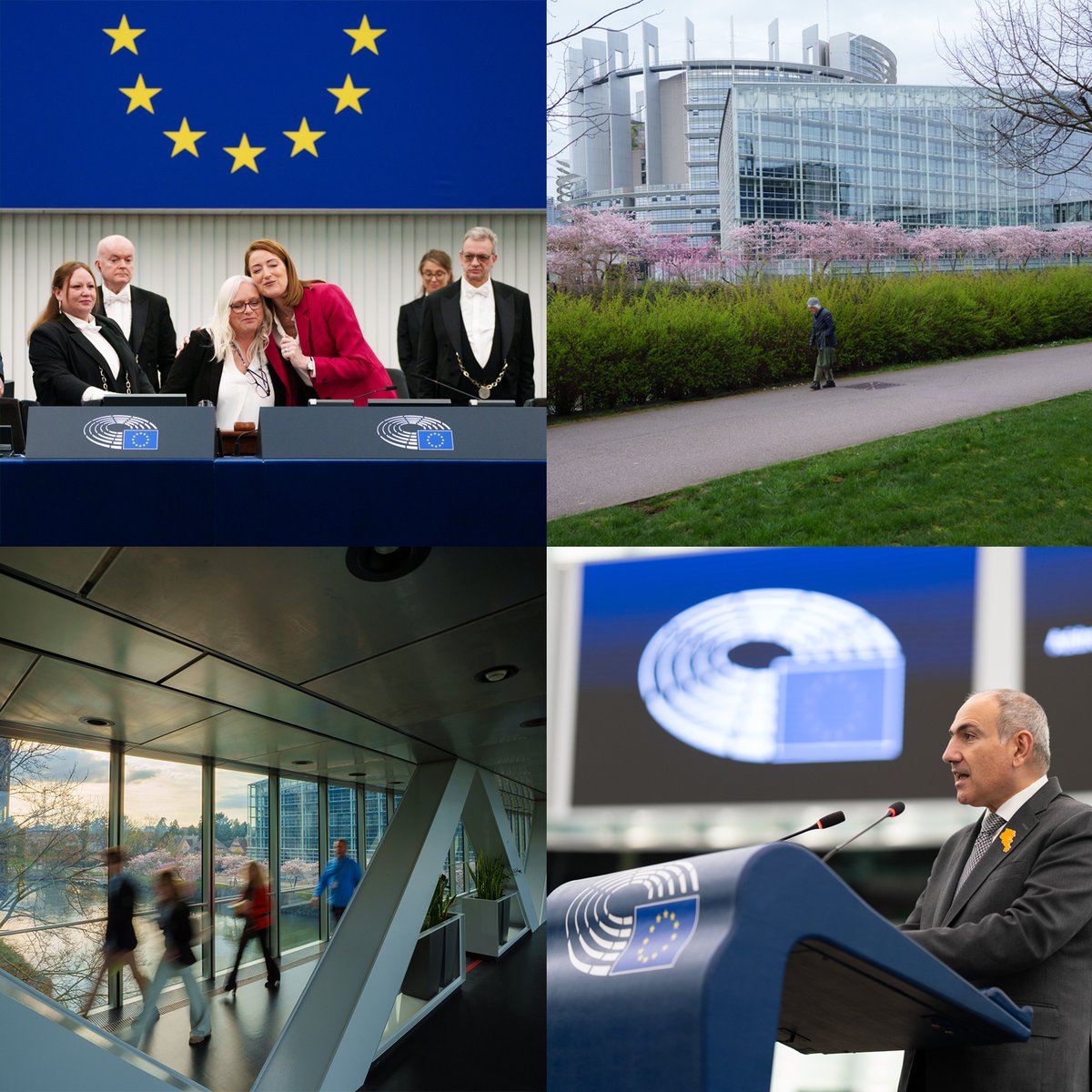 European Parliament tweet media