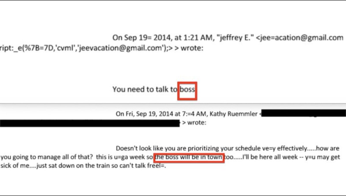 Svetlana Lokhova tweet media