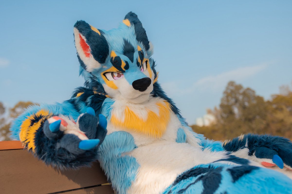 类 Lèi (レー) 🔜UTFG tweet media