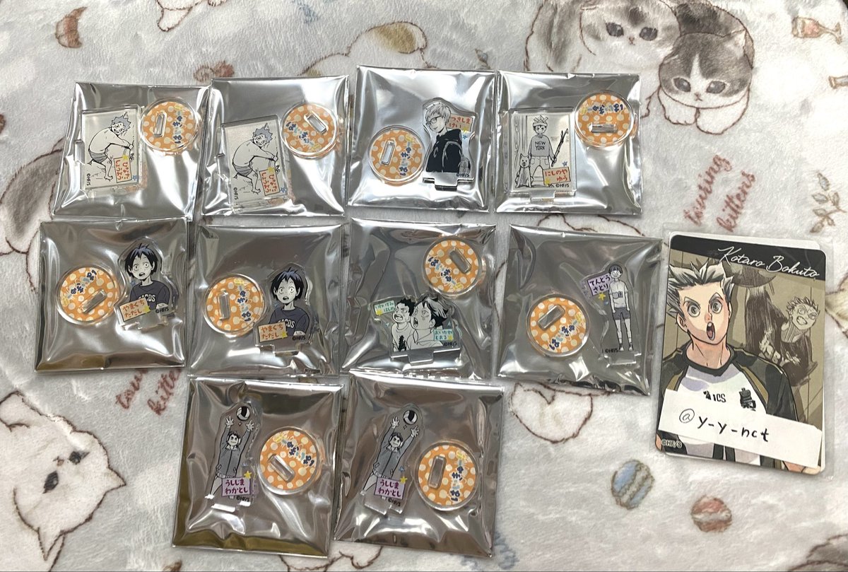 メナ🐱 tweet media