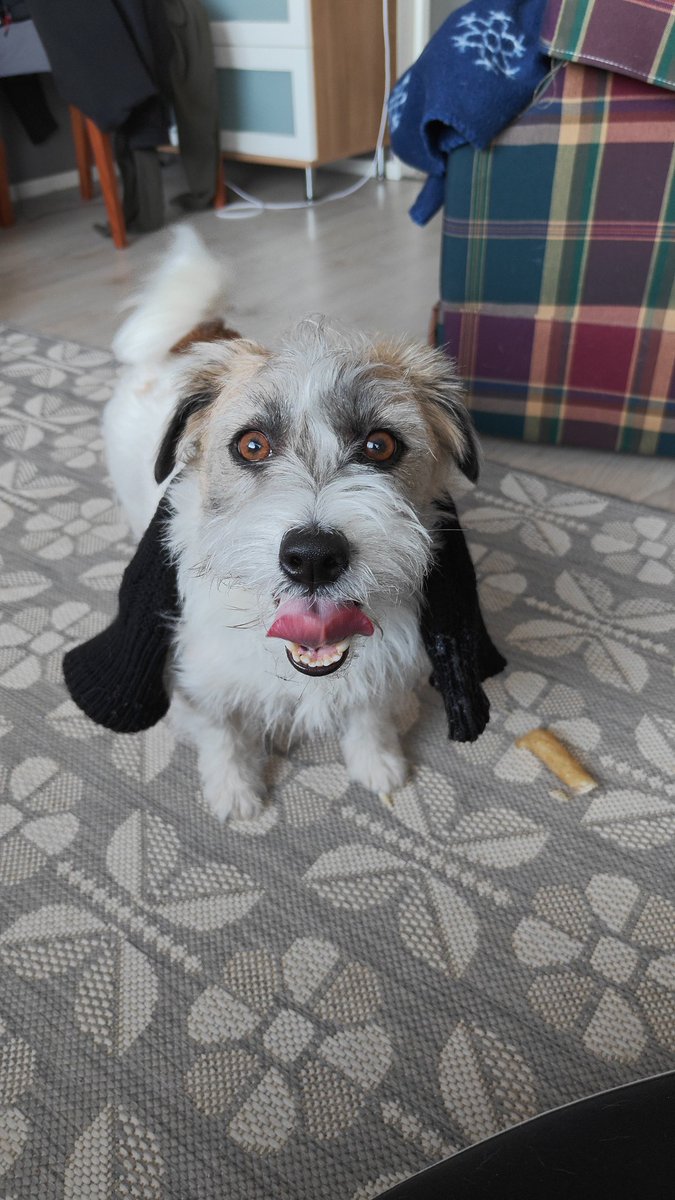 "SISKO TULI HOITAMAAN MUA! SAIN KAUHEET HEPULIT KU SE TULI!"