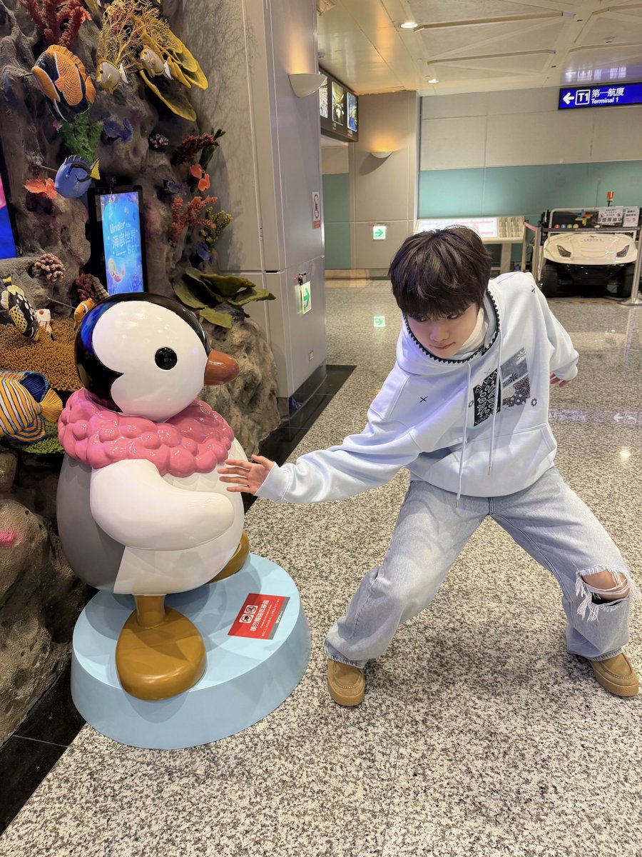 The Wind tweet media