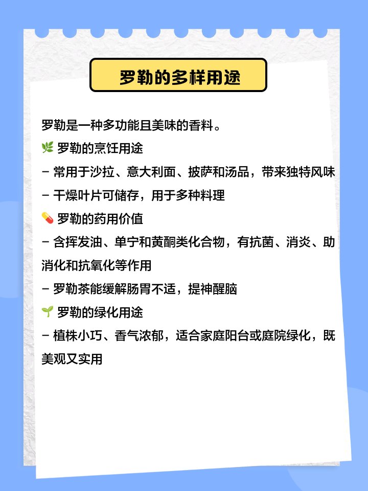 Saen Dakmer tweet media