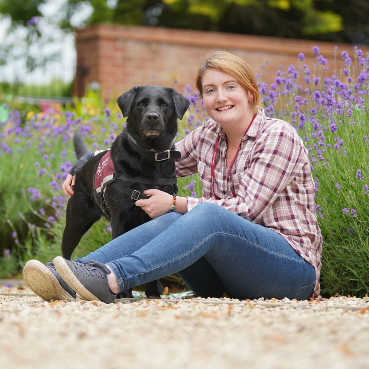 Hearing Dogs for Deaf People tweet media