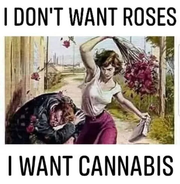 Tracy Goudreau tweet media