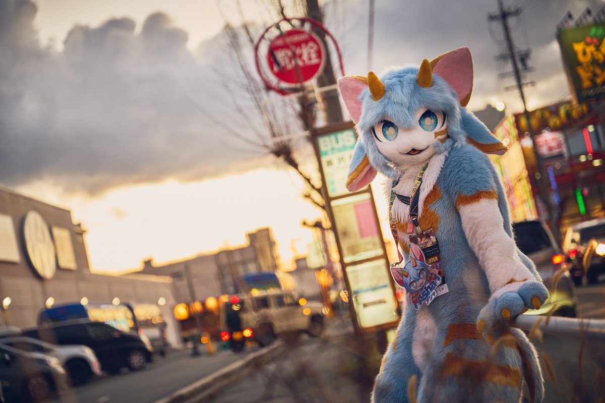 Dindin🔜Hifurry tweet media