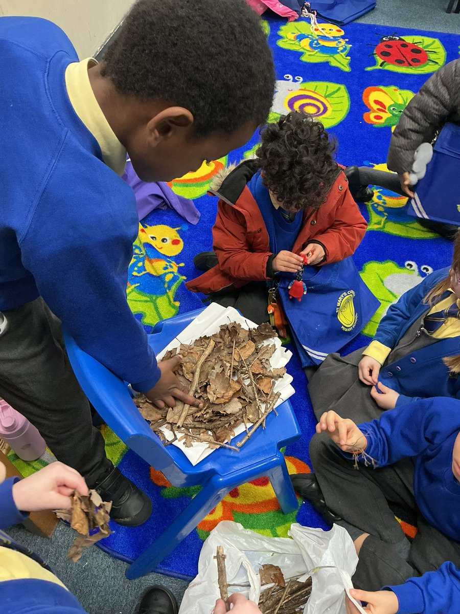 StMaryB17's tweet photo. #Y1 explored the following question: How do birds build their nests? for #ScienceweekUK #Science #Scienceweek https://t.co/yNSeHBTZzV