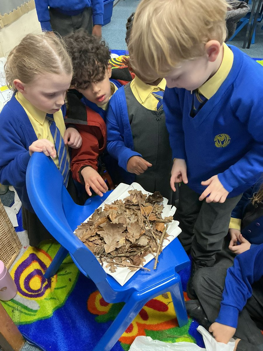 StMaryB17's tweet photo. #Y1 explored the following question: How do birds build their nests? for #ScienceweekUK #Science #Scienceweek https://t.co/yNSeHBTZzV