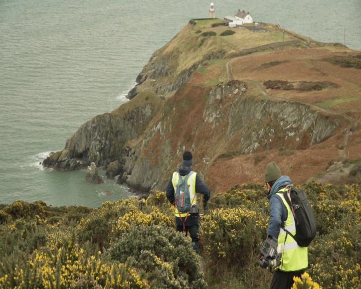 RTÉ Nationwide tweet media