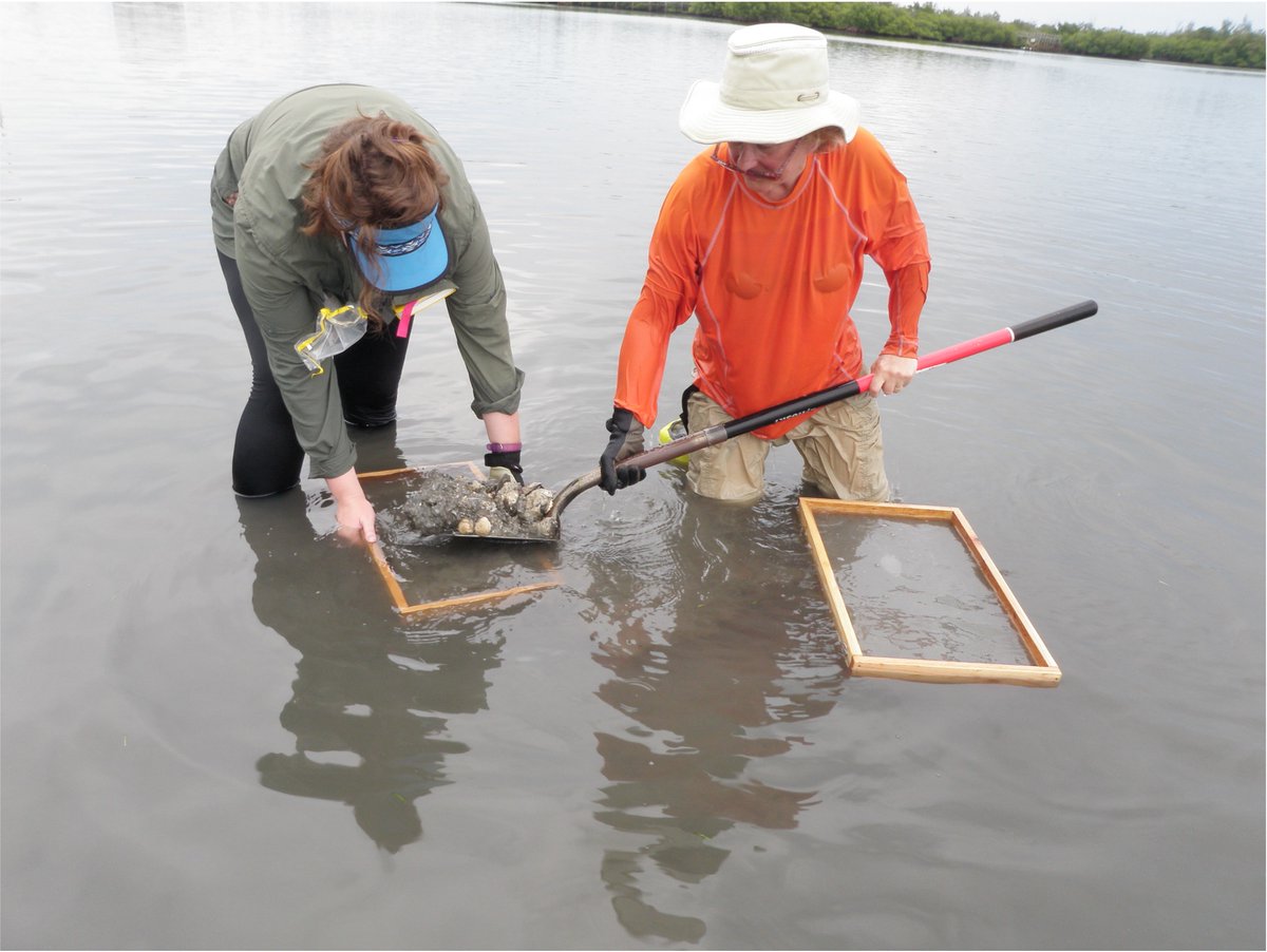 Historical Biology tweet media