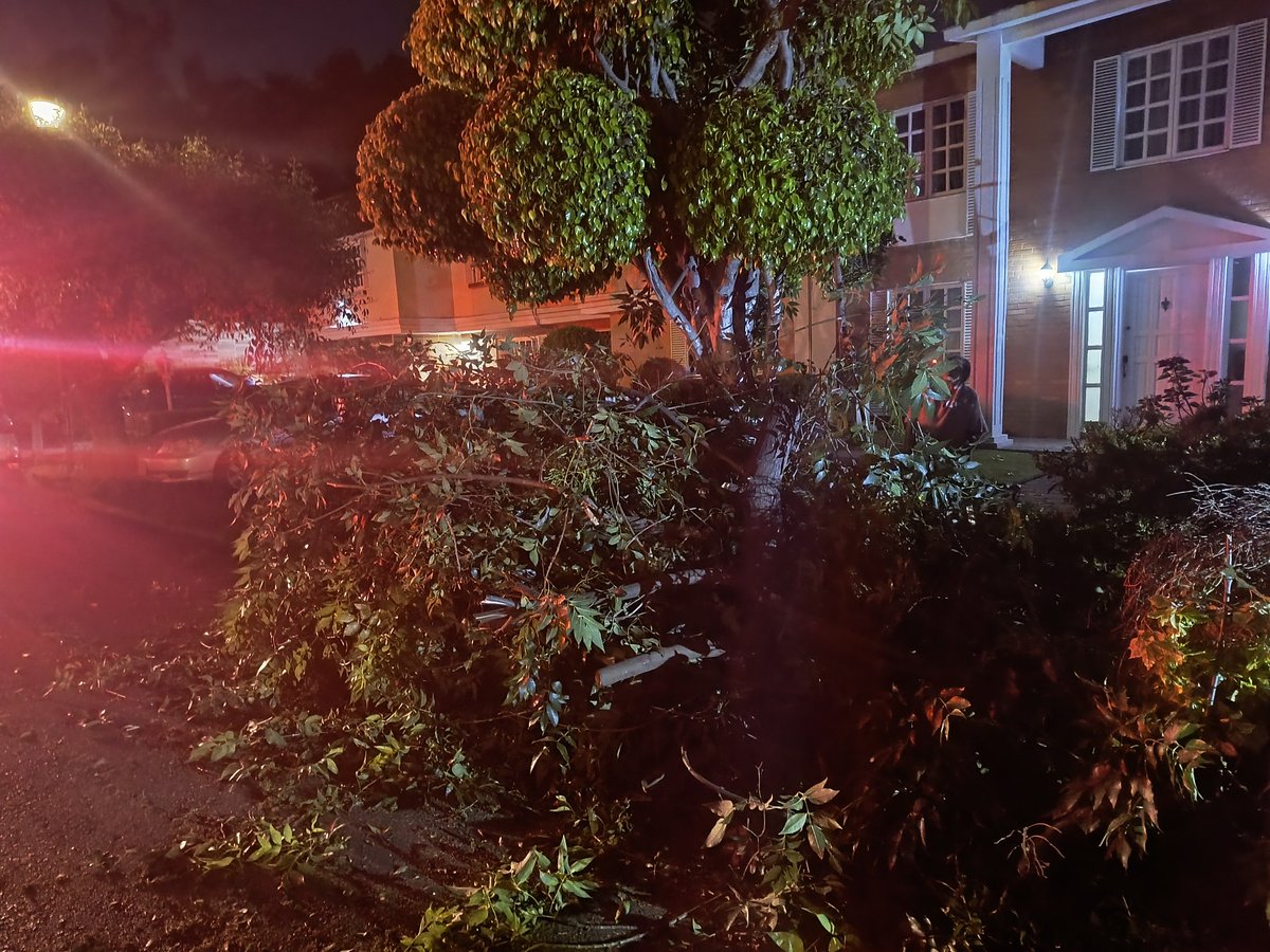 gvl69's tweet photo. @GobCDMX @ClaraBrugadaM  @proteccioncivi@SGIRPC_CDMX Reporte CIUDADANO 11:50 pm se cayó una rama de aprox 20mts de largo cayó en nuestro predio ubicado Rancho las animas y calz del hueso, Los Sauces. Coyoacán. Poniendo en riesgo  hogar y seguridad  Solicitamos apoyo urgente https://t.co/zCYyPEuskh