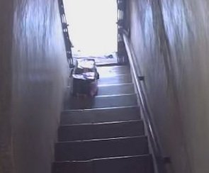 suraj rathi( Modi Ka Parivar) tweet media