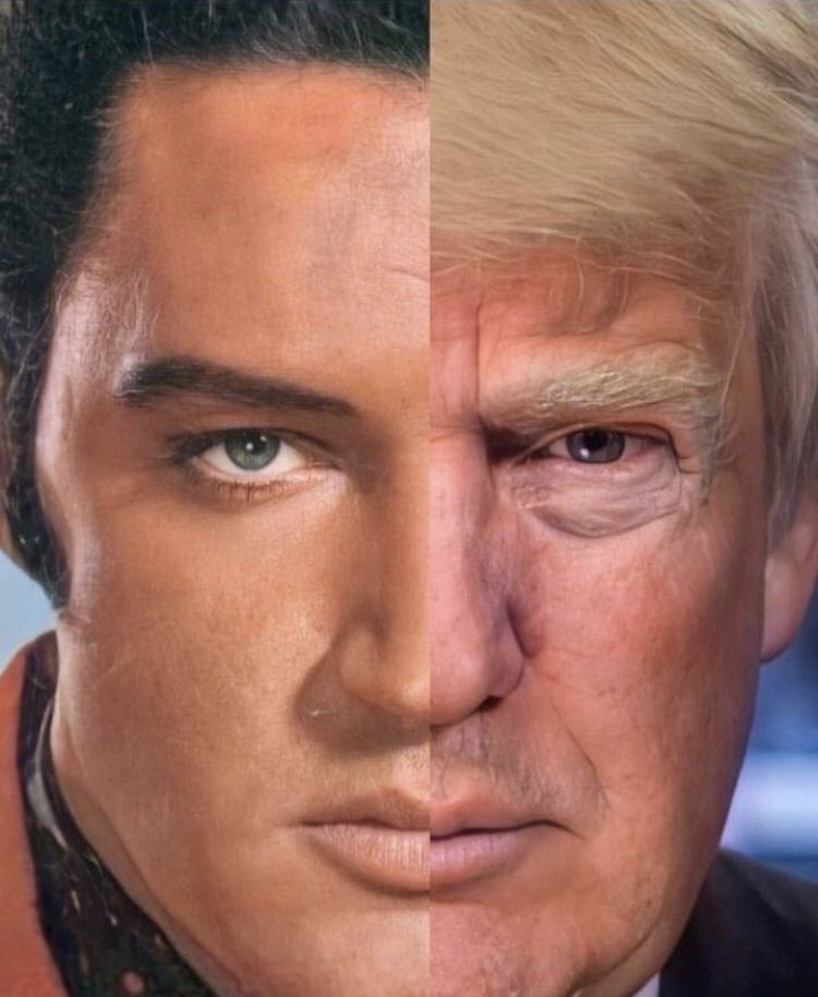 Asher Moses tweet media