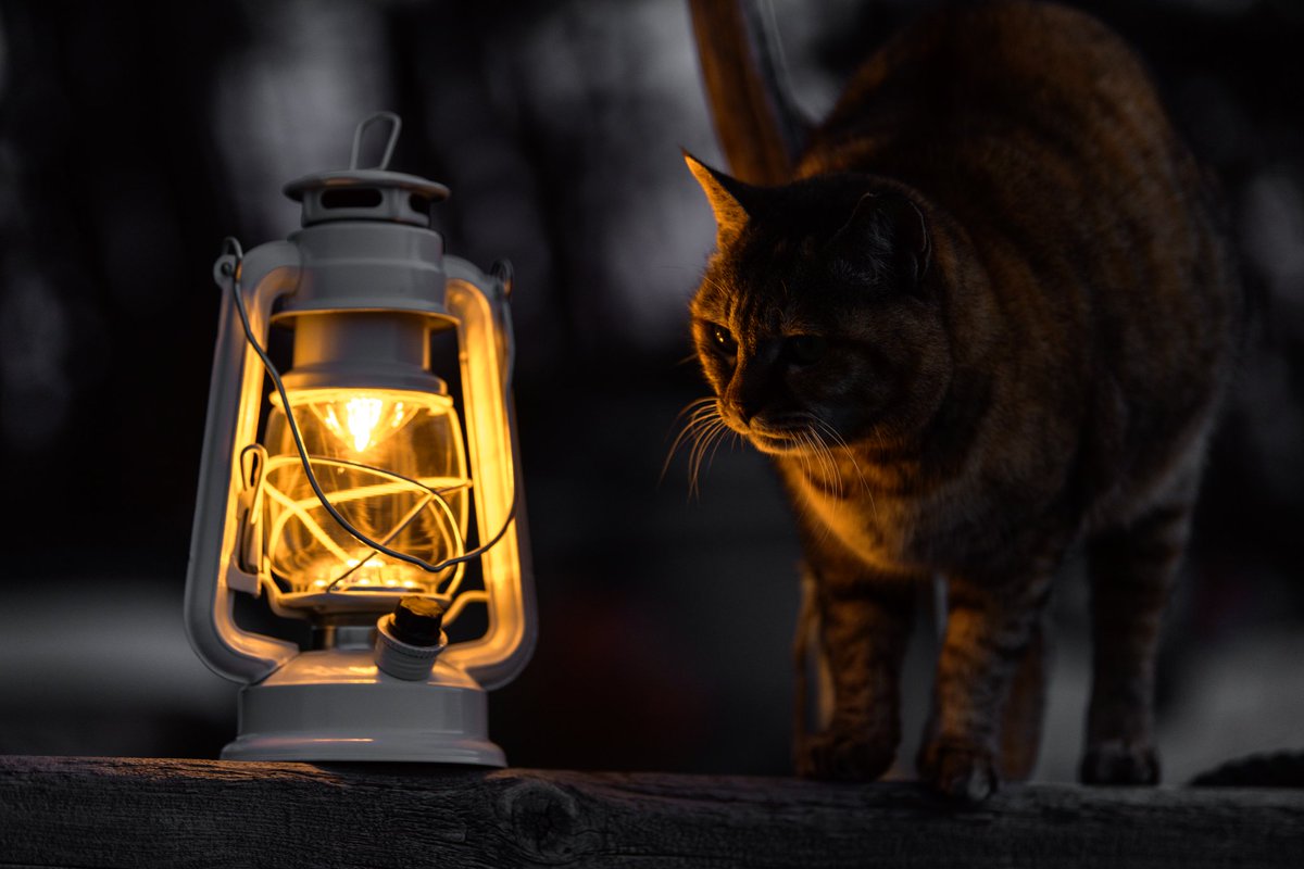 暖かみのある灯り💡