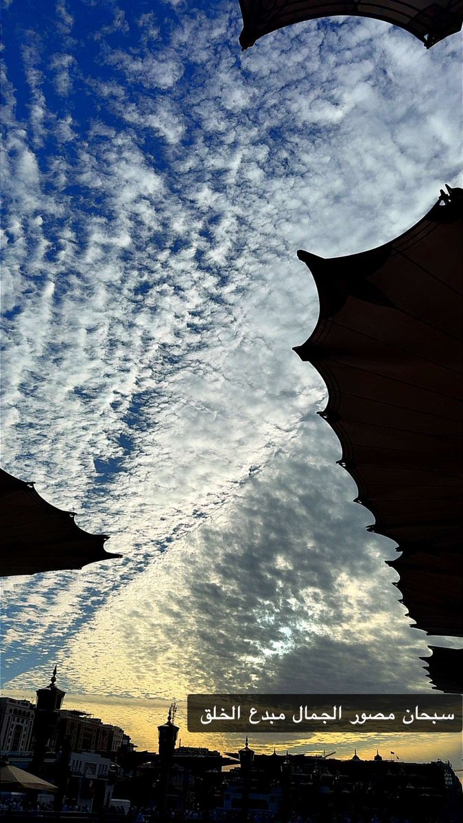 صحيفة صميم tweet media