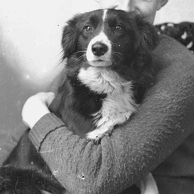 Orkney Library tweet media