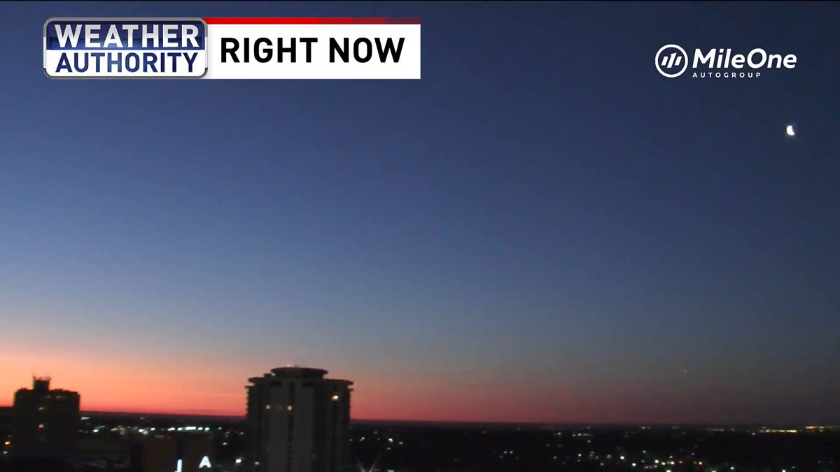 Amy Aaronson tweet media