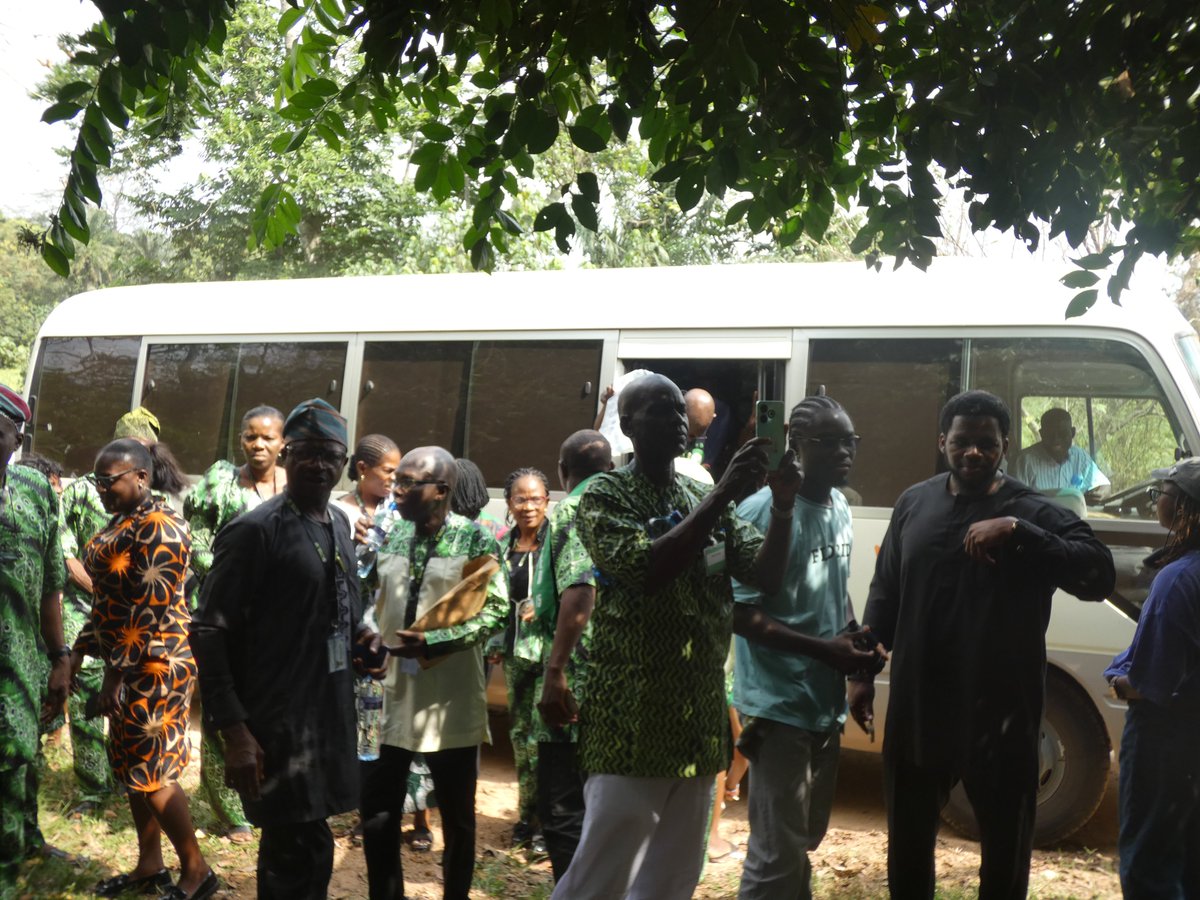 IITA Forest Center tweet media