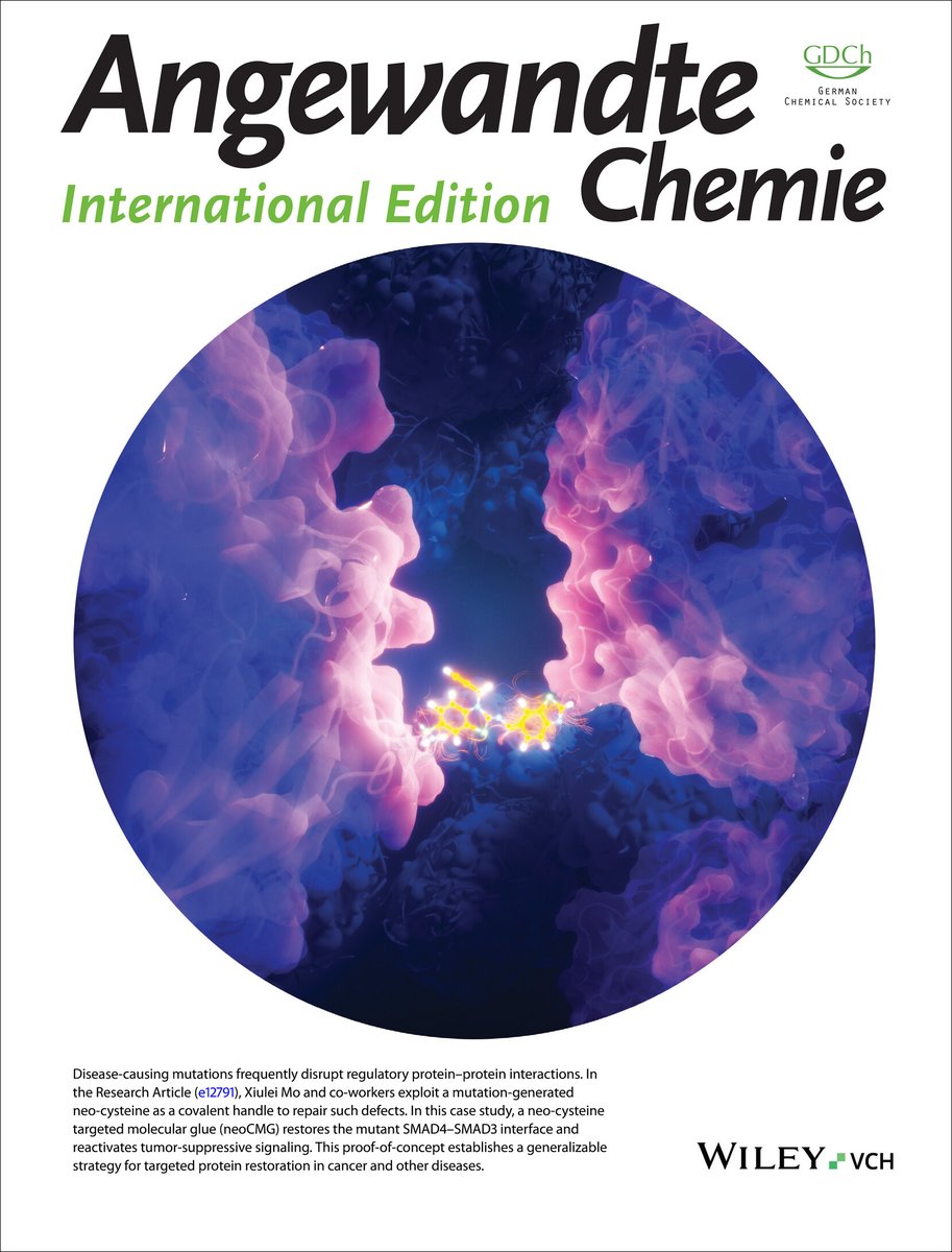 Ella_Maru's tweet image. 💜 New cover for @angew_chem⭐

 Xiulei Mo and colleagues present a strategy to repair #protein–protein interactions disrupted by disease mutations. By targeting a mutation-created “neo-cysteine”, they design a #molecular_glue that restores the SMAD4–SMAD3 interaction and