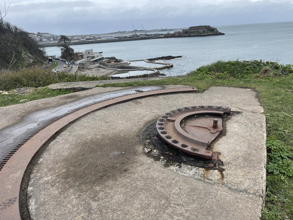 Bornatotter tweet media