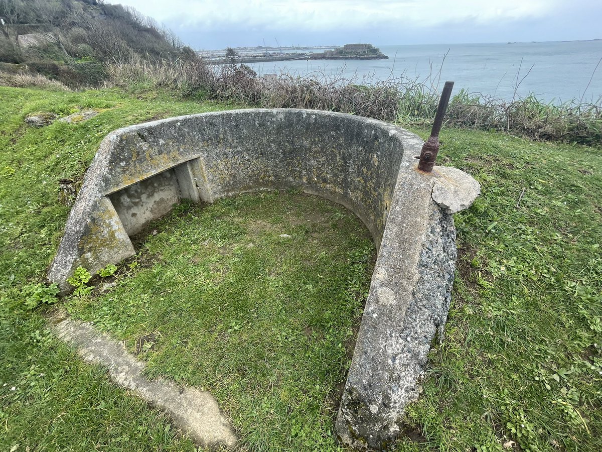 Bornatotter tweet media