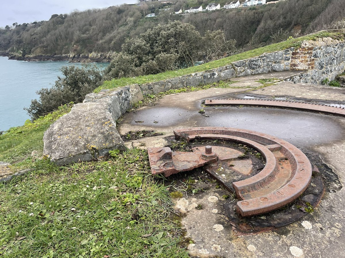 Bornatotter tweet media