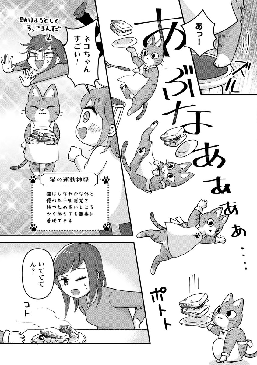 4/6    あなたの猫吸いはどこから?? 
