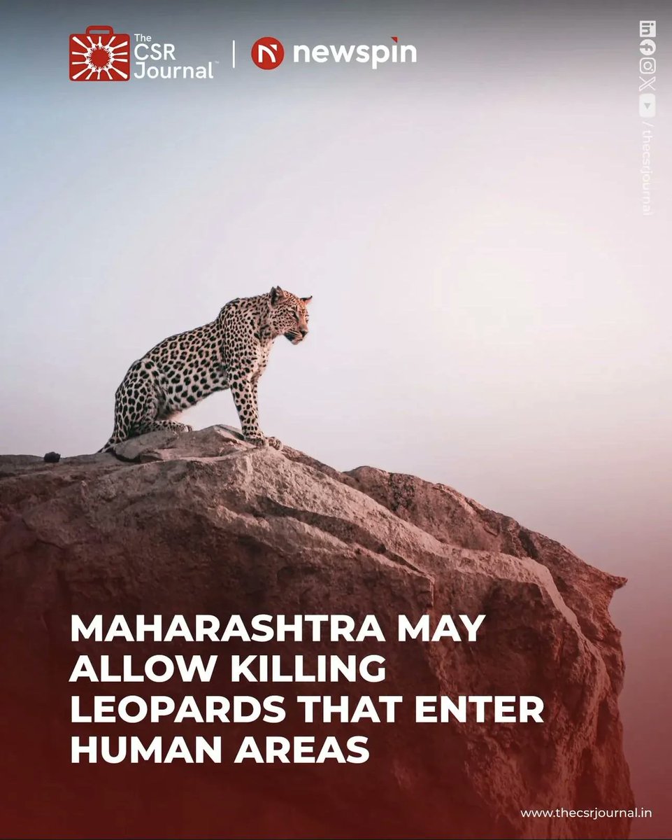 Dr Ranjan tweet media