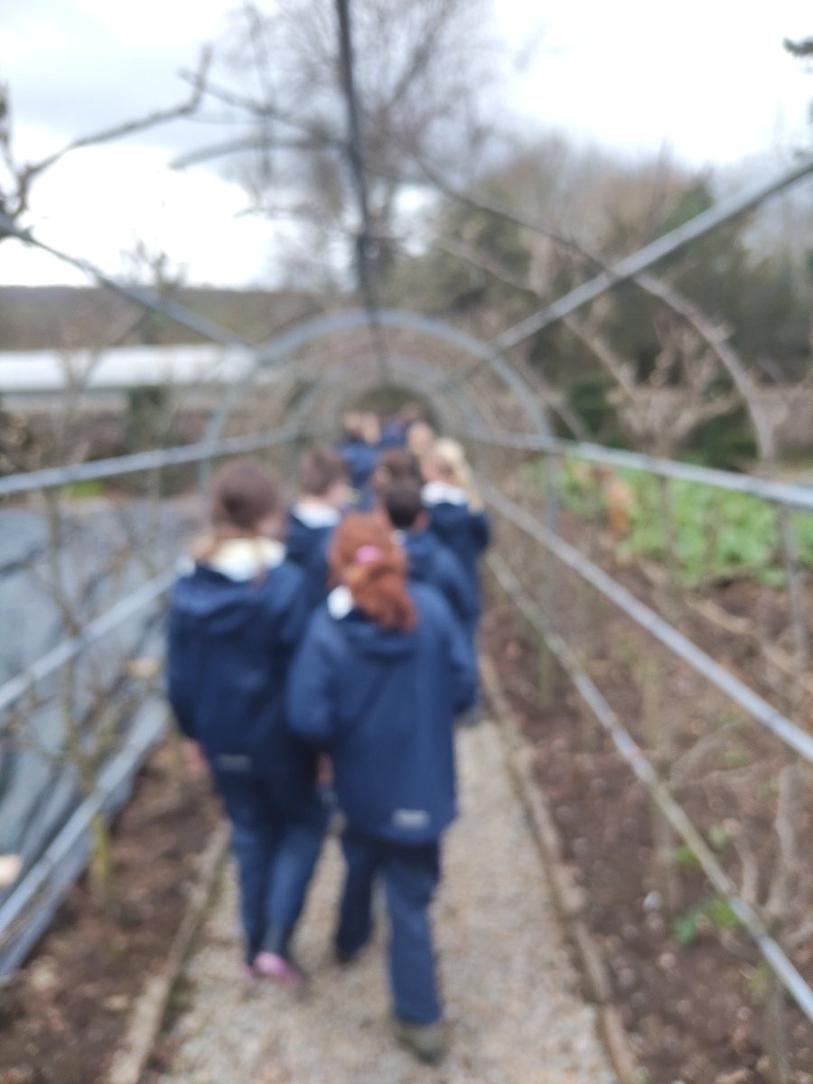 St George's CE Primary School tweet media