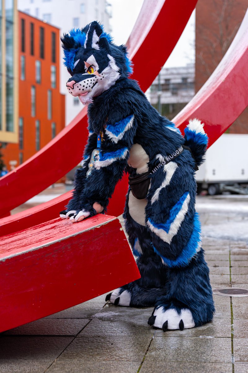 Stormy 🔜 Faun, Ibercon, Awoo tweet media