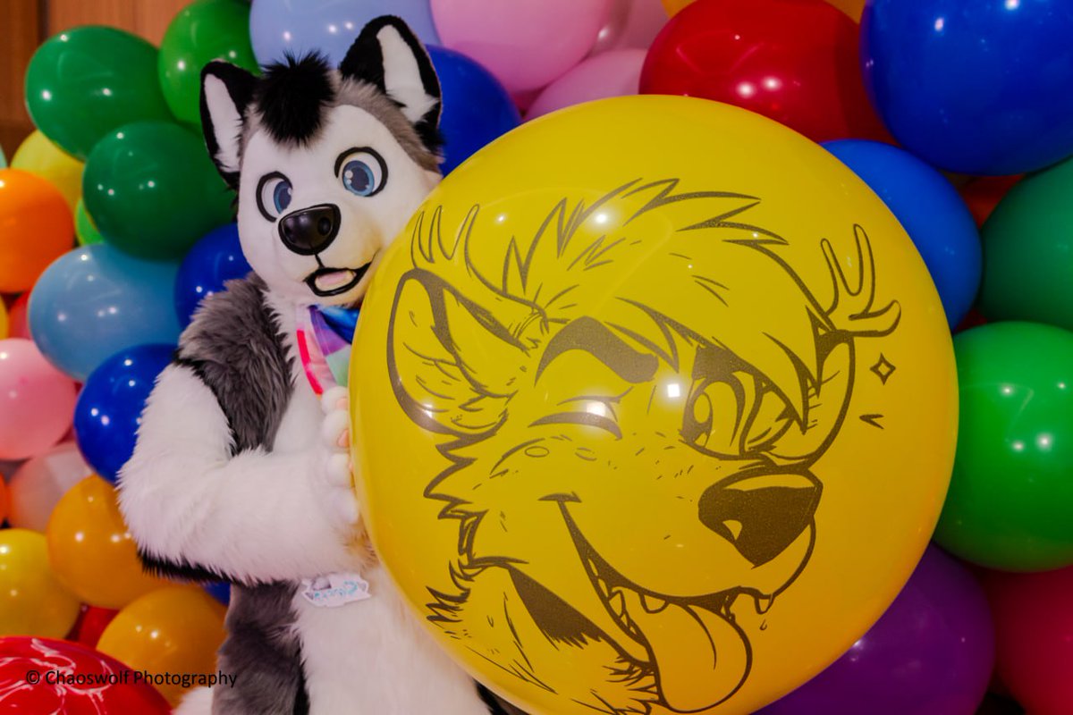 Chaoswolf Photography tweet media