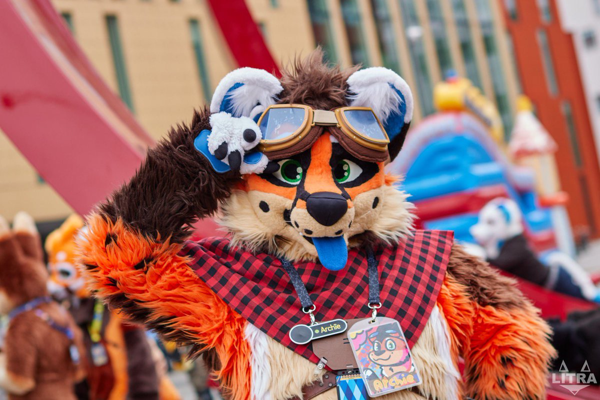 Archie 🦊 tweet media