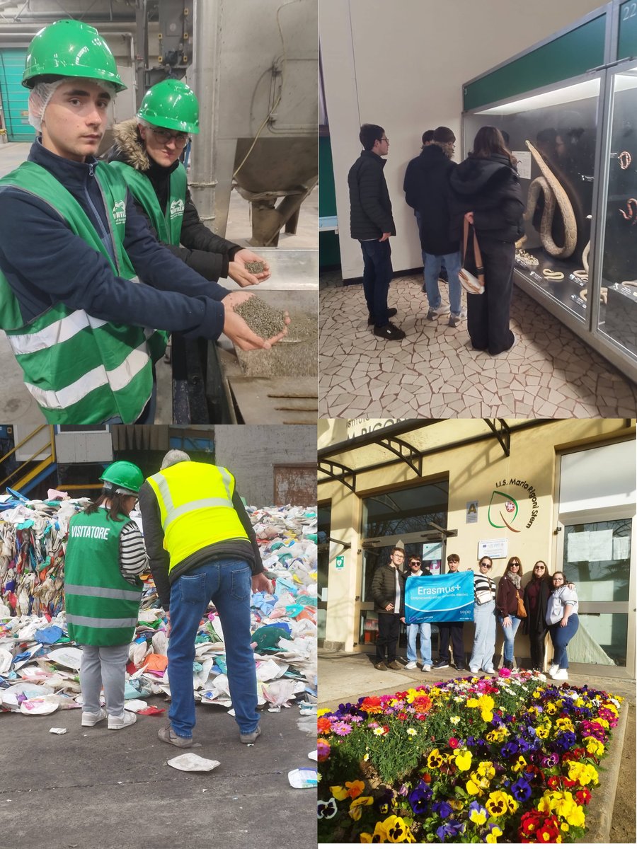 IES SUÁREZ DE FIGUEROA tweet media