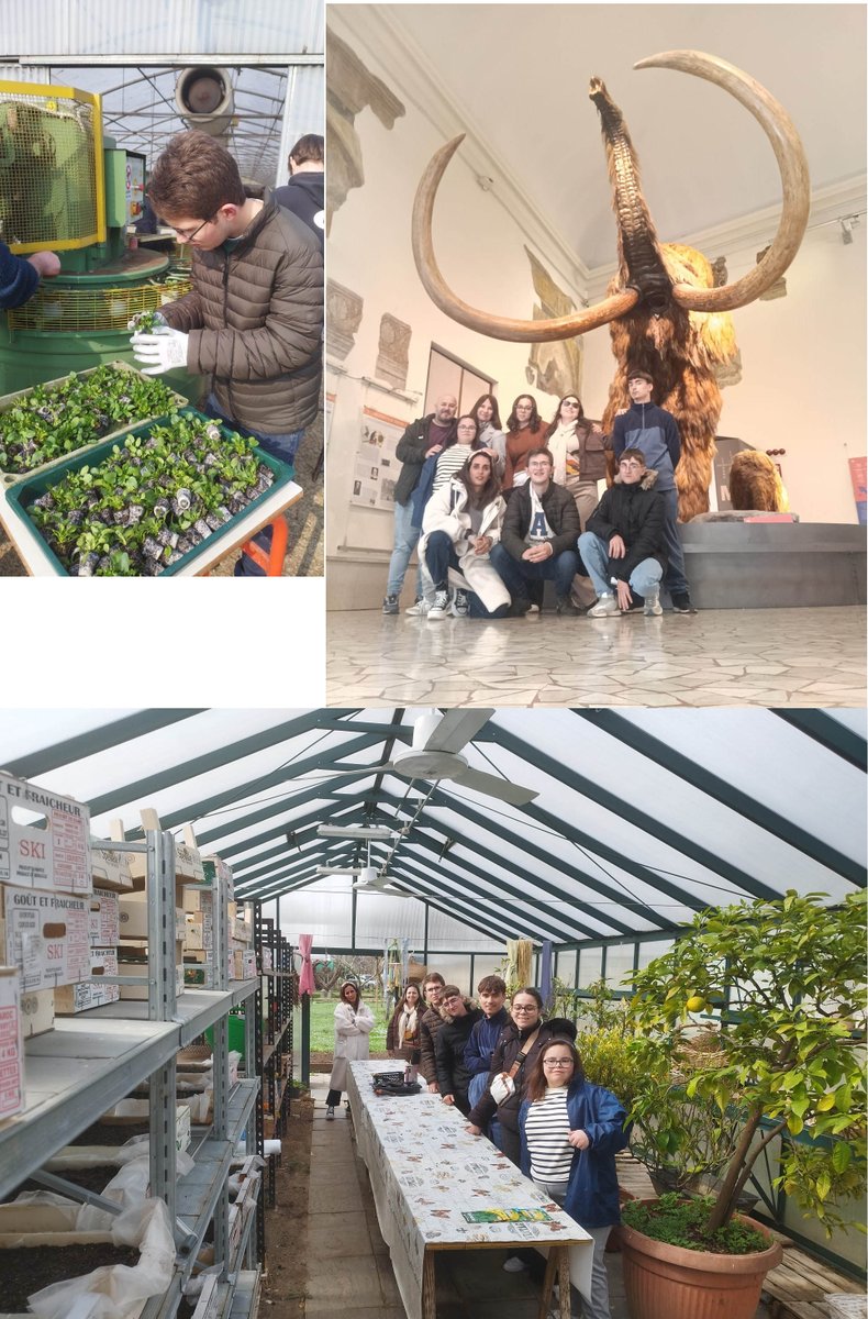 IES SUÁREZ DE FIGUEROA tweet media