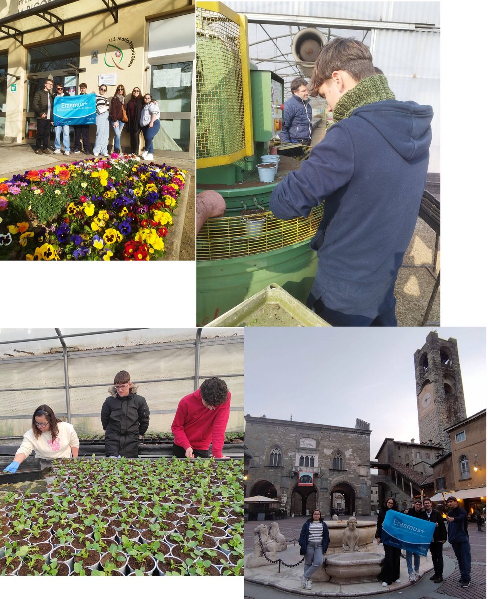 IES SUÁREZ DE FIGUEROA tweet media