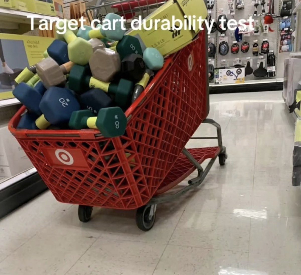 Troganmouse tweet media