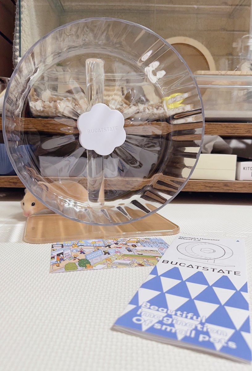 はむたともちまる tweet media