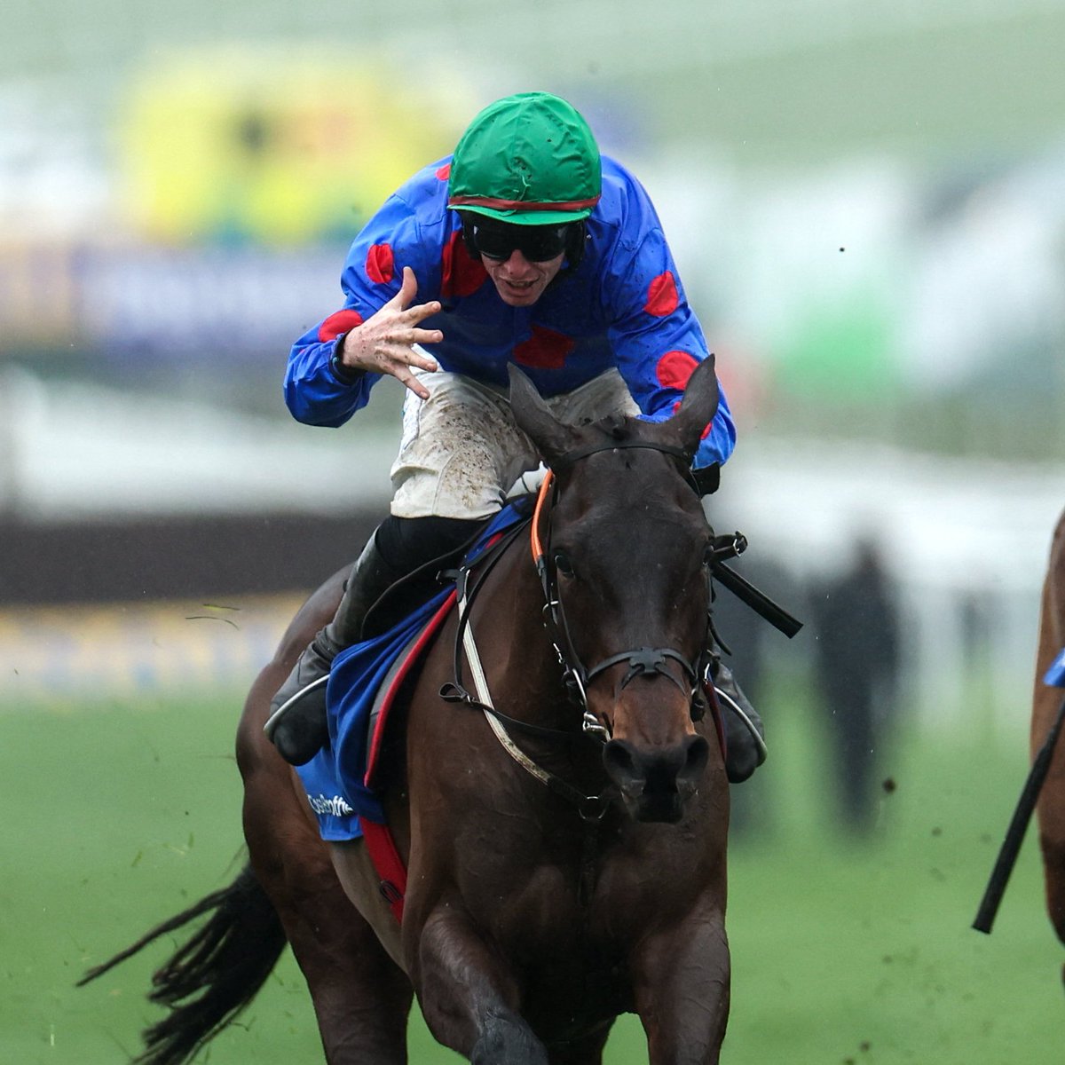 Racing Post tweet media