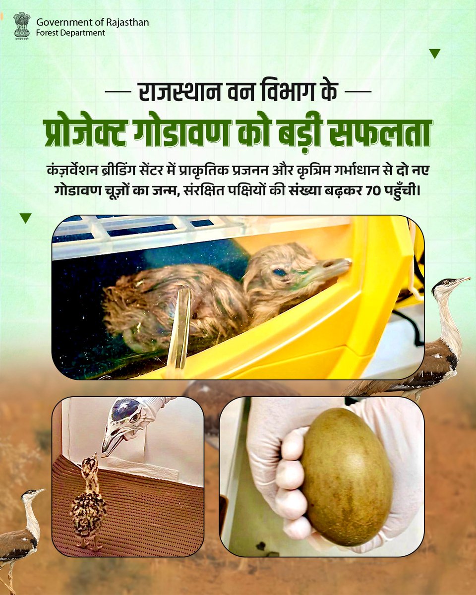 Rajasthan Forest Department tweet media