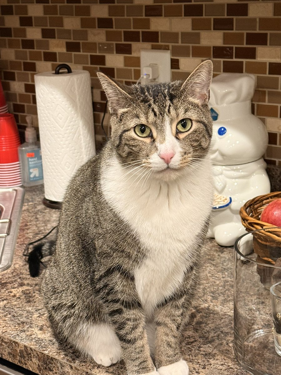 Debb ❤️’s JDM tweet media