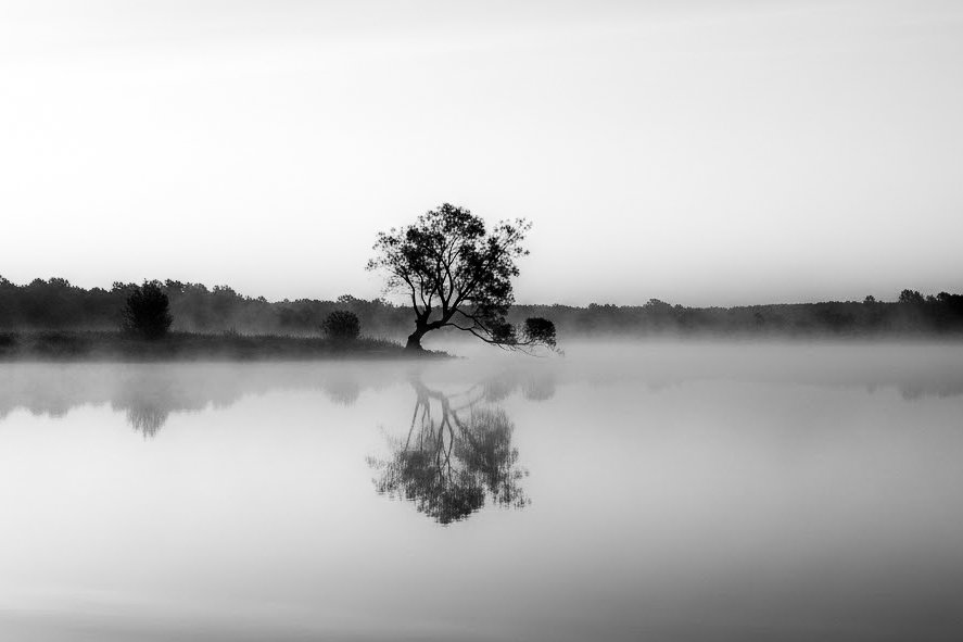 sude acar tweet media