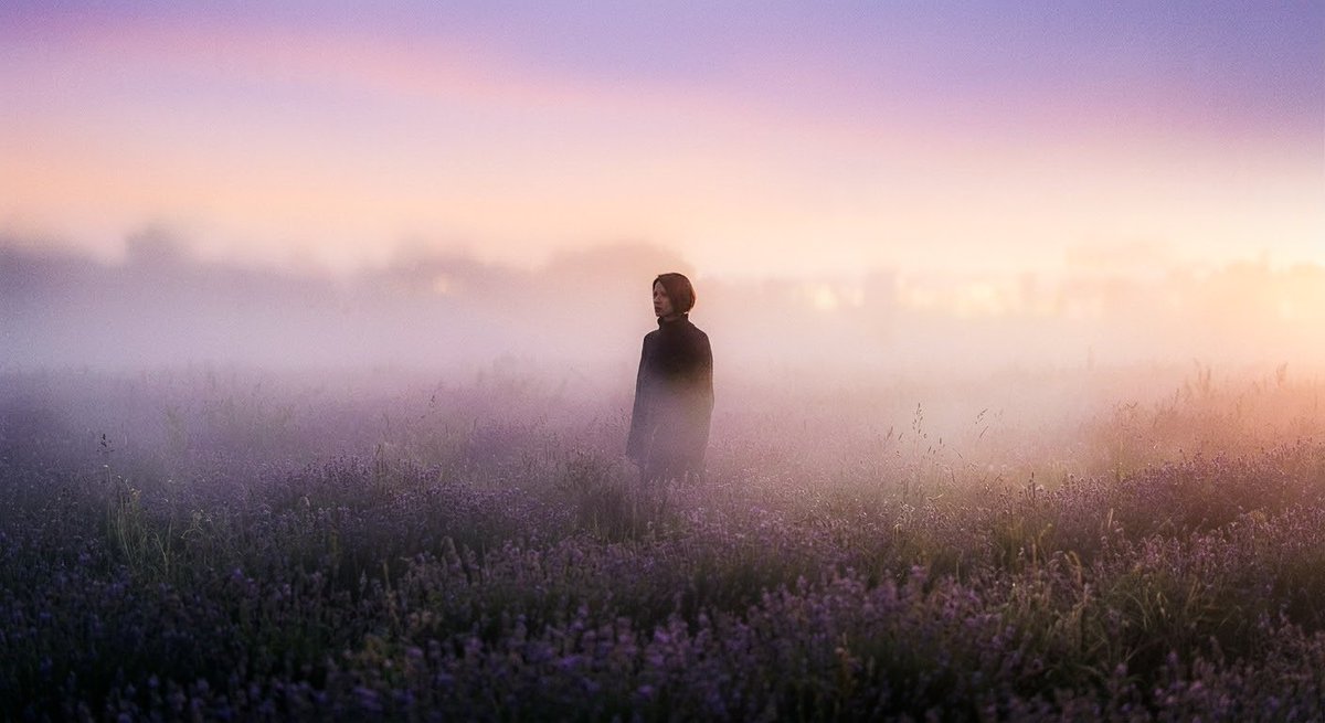 sude acar tweet media