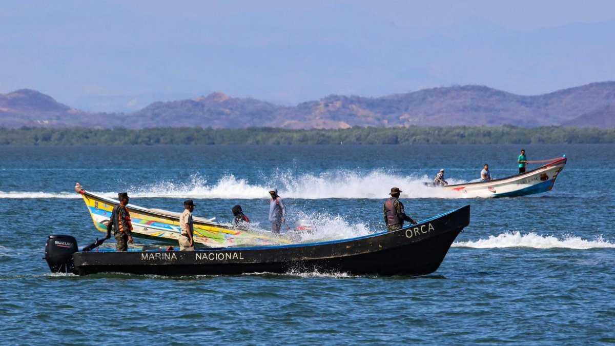 De Telegraaf tweet media