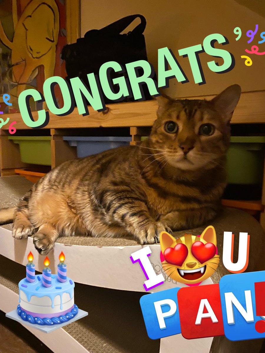 Neko ❤️’s PiBeansMiloCadwellCorkyFrankArchieTed❤️ tweet media