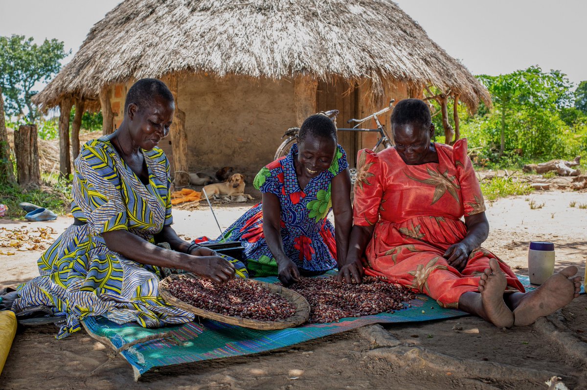 ESAFF Uganda tweet media