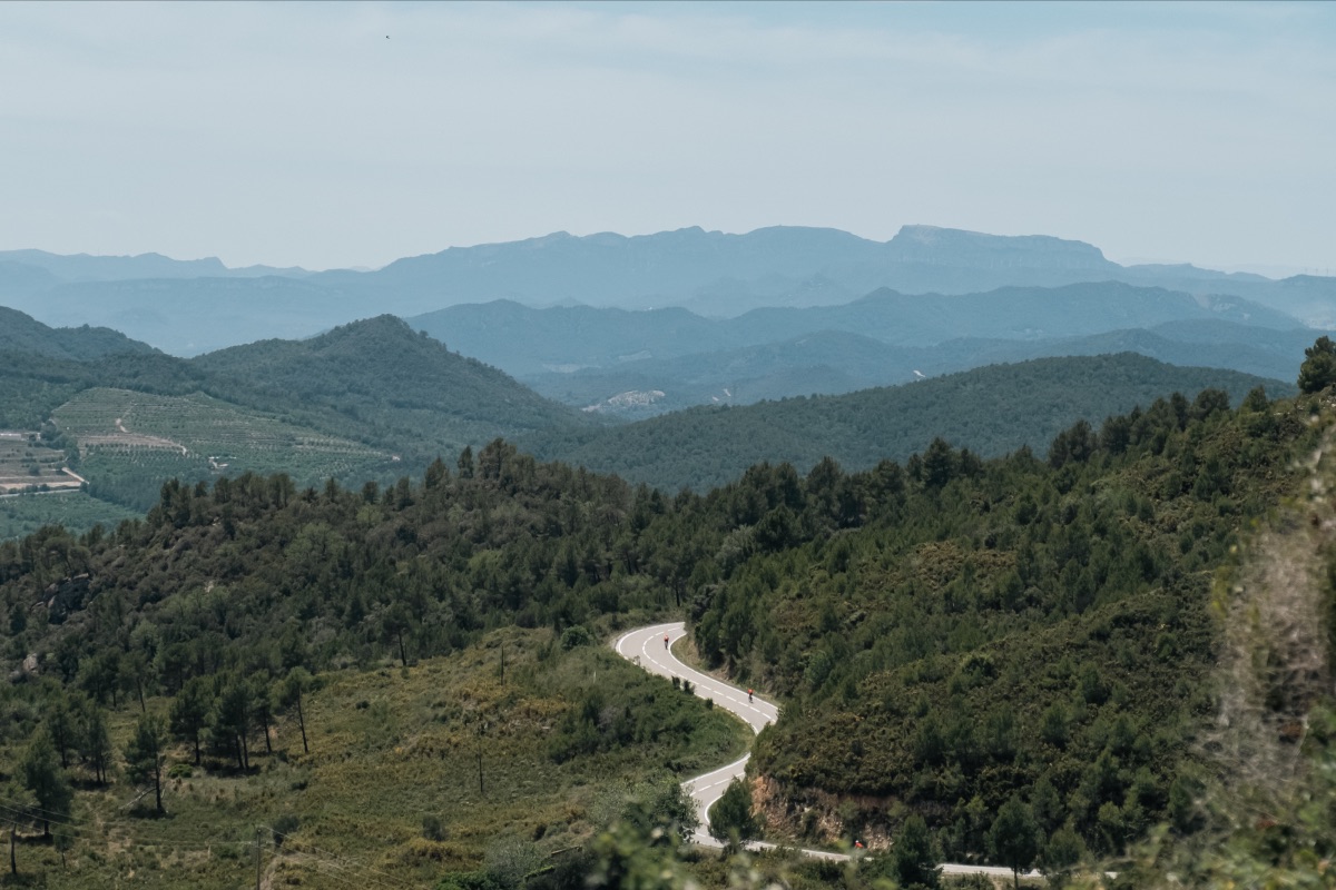 Mariposa Bicycles tweet media