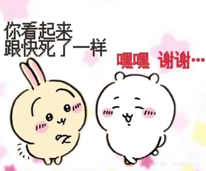 Biscuit1515 tweet media