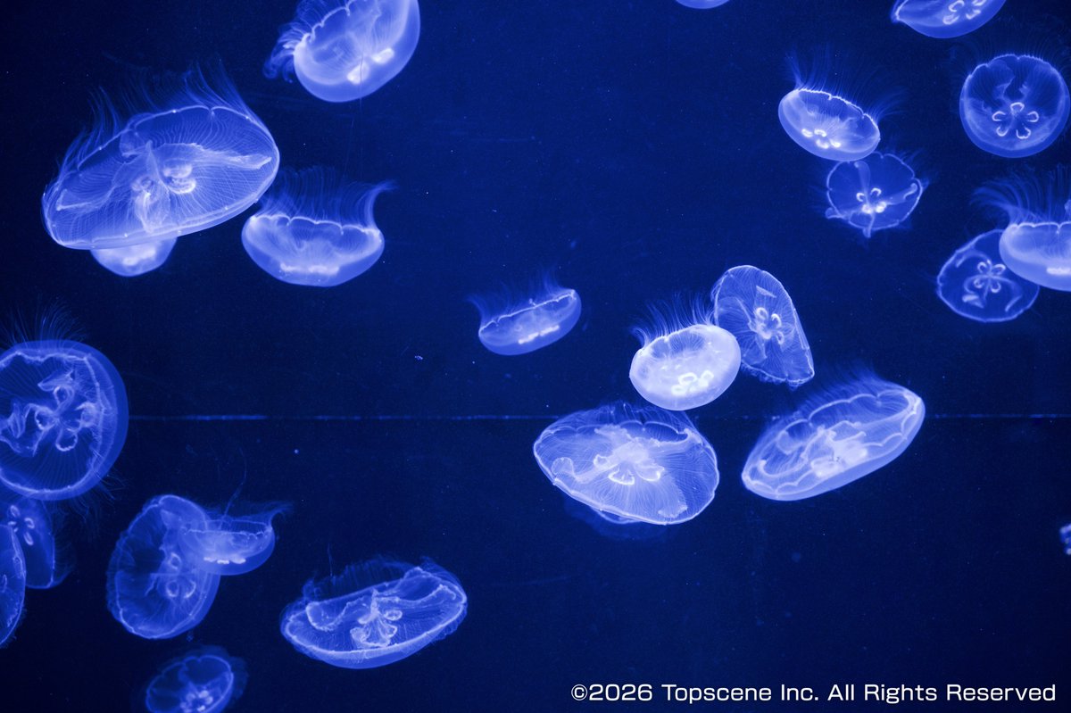 ベストフレンドハウス（公式） tweet media