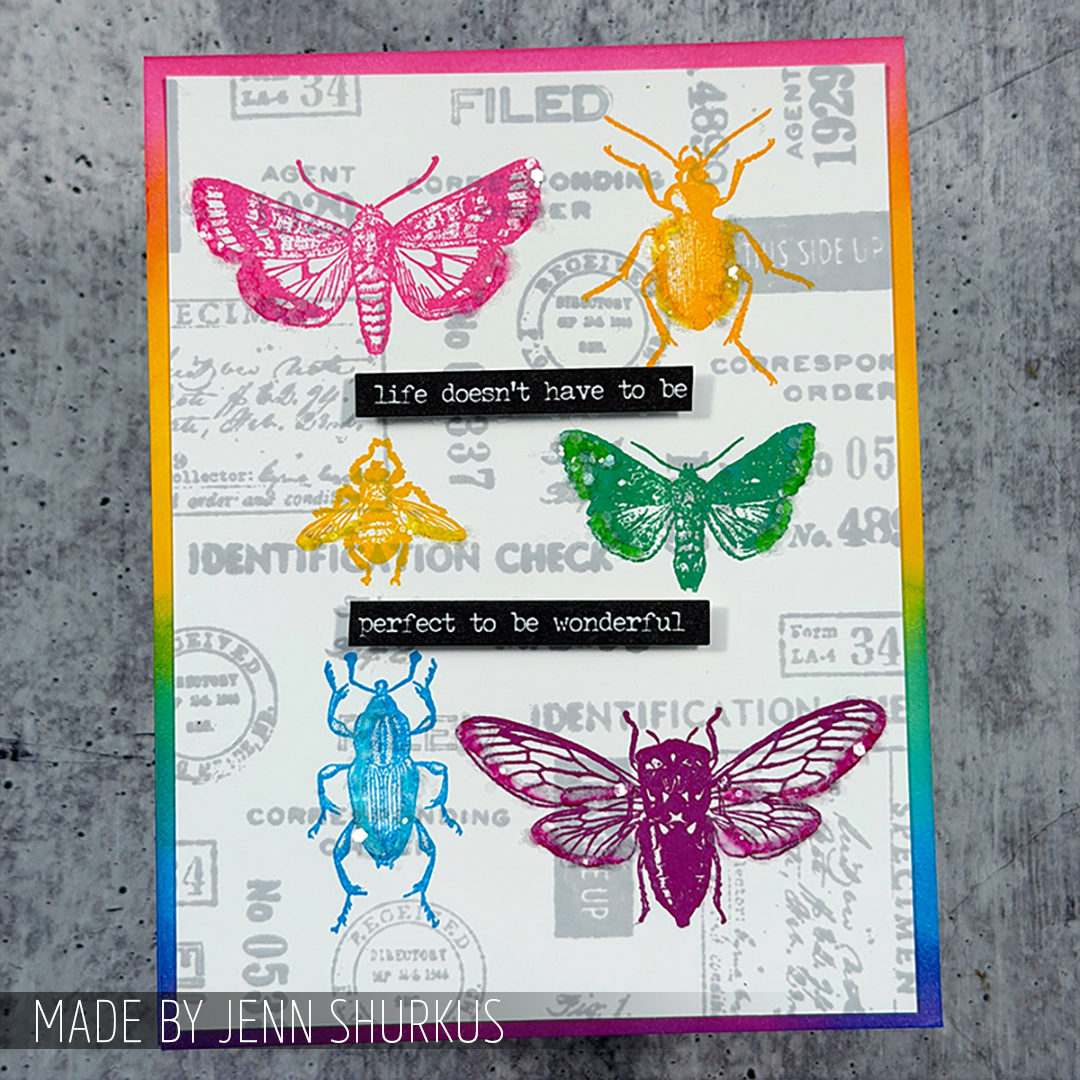 stampers_anon's tweet photo. Colorful curiosities + bold specimen details π¦π This vibrant sample by @jennshurkus brings classic entomology imagery to life π Created with #timholtz Entomology mixed-media set (THMM111) β¨
#stampersanonymous #SACurations #handmadecards https://t.co/GiquEP2XgH