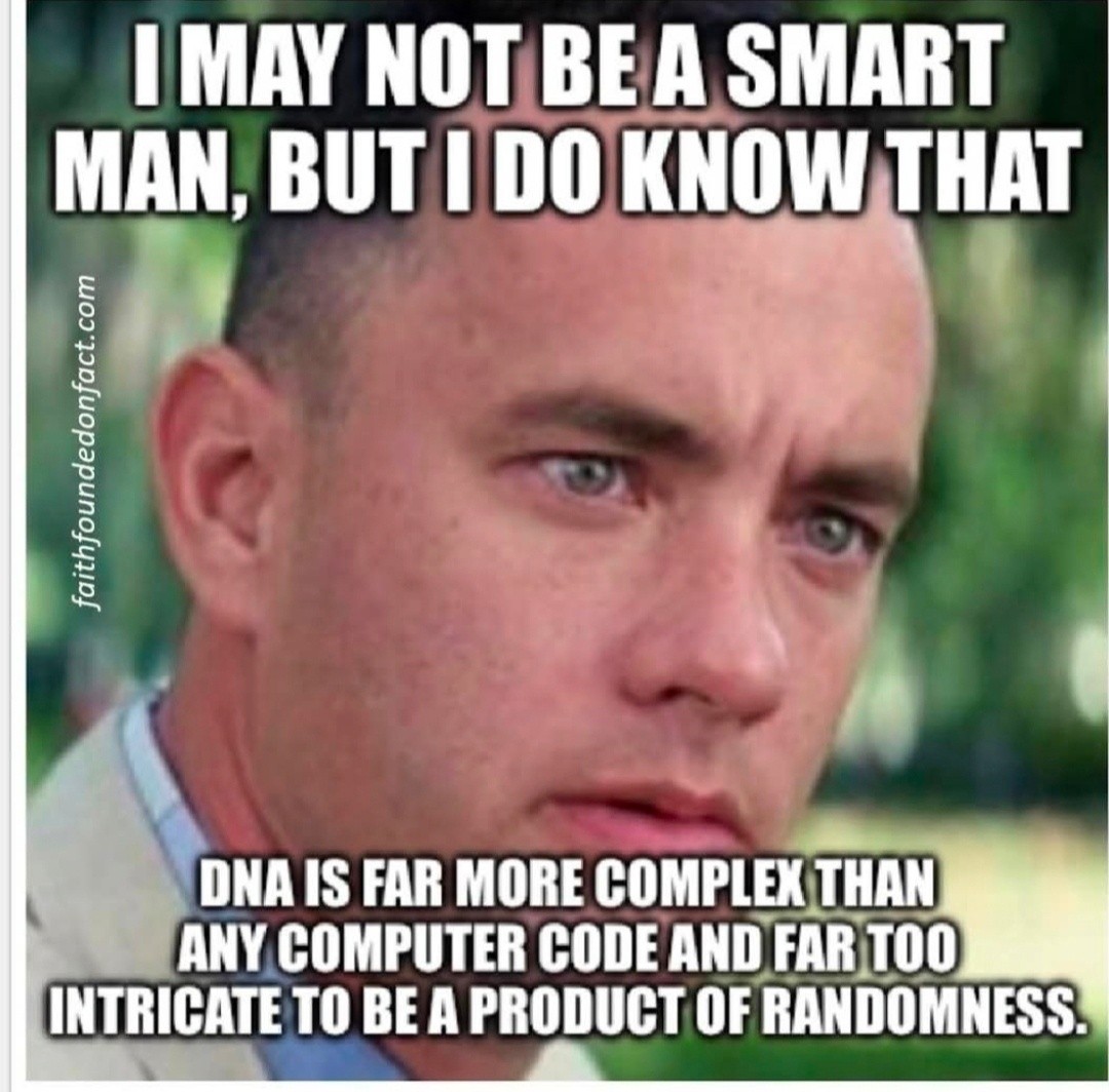 Creation Today tweet media